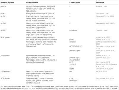 Vector Development Timeline for Mucosal Vaccination and Treatment of Disease Using Lactococcus lactis and Design Approaches of Next Generation Food Grade Plasmids